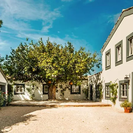 La Casa Del Gelso *